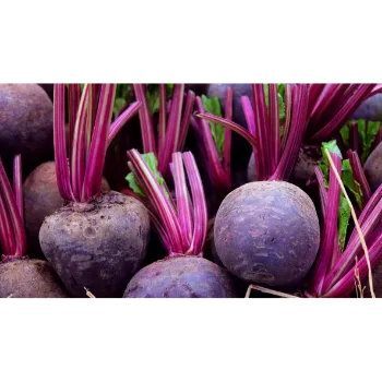 Organic Beetroot